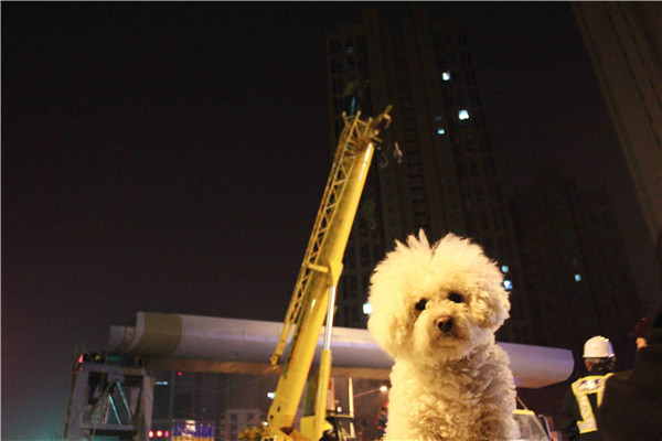 ϵľ(й)ٷվ-Macau Platform